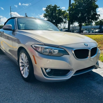 2015 BMW 2 Series 228i (Brown)